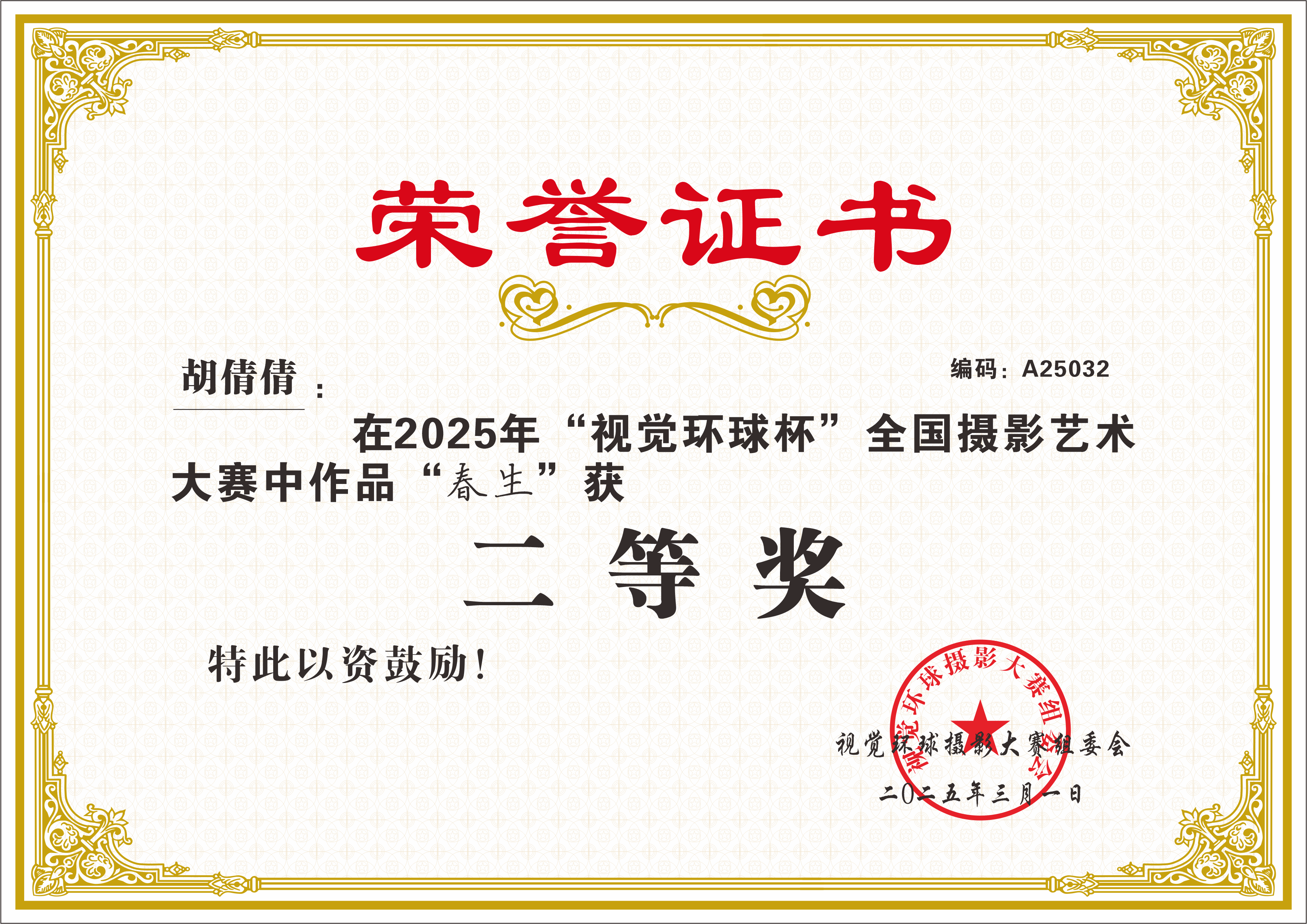 视觉环球杯获奖荣誉证书